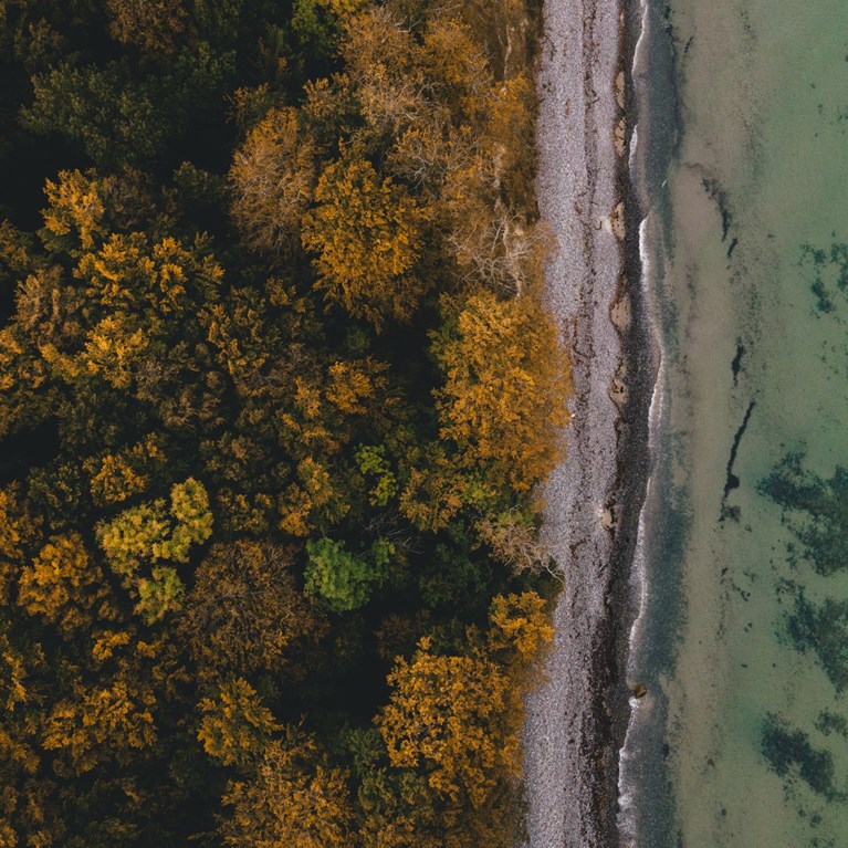 Luftfoto af kysten på Møn og efterårsskov